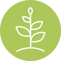 compostable