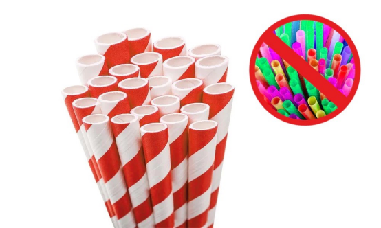 disposable food packaging